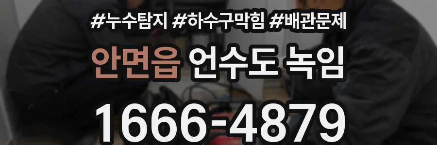 안면읍 언수도 녹임