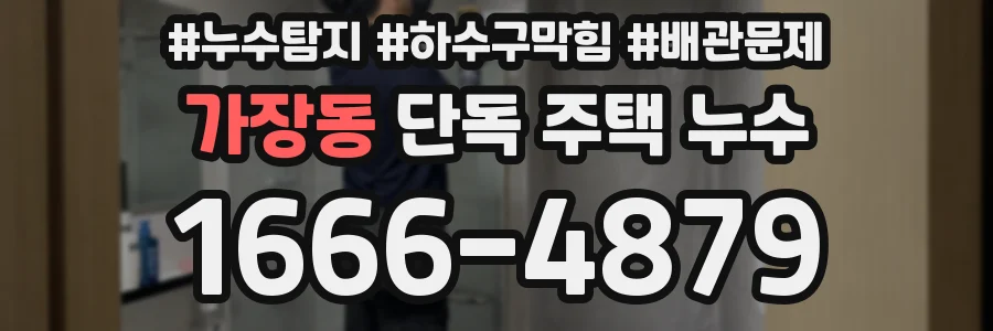 가장동 단독 주택 누수