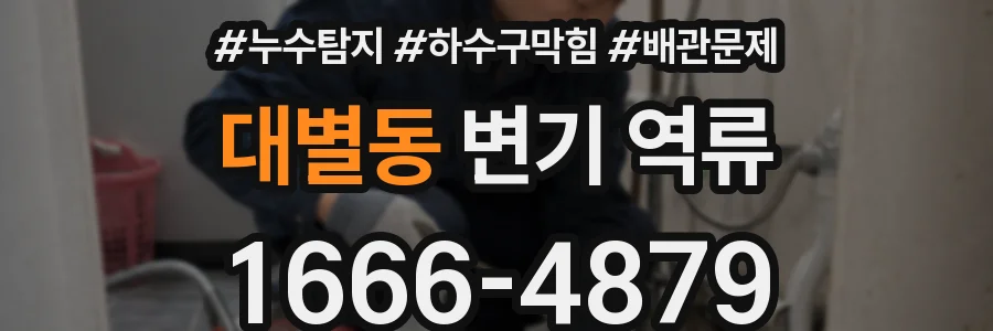 대별동 변기 역류