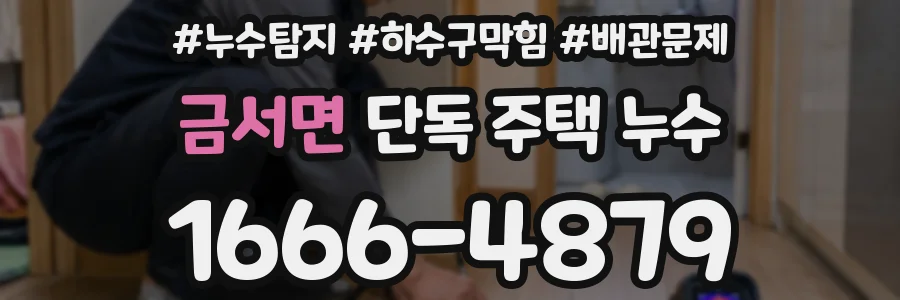 금서면 단독 주택 누수