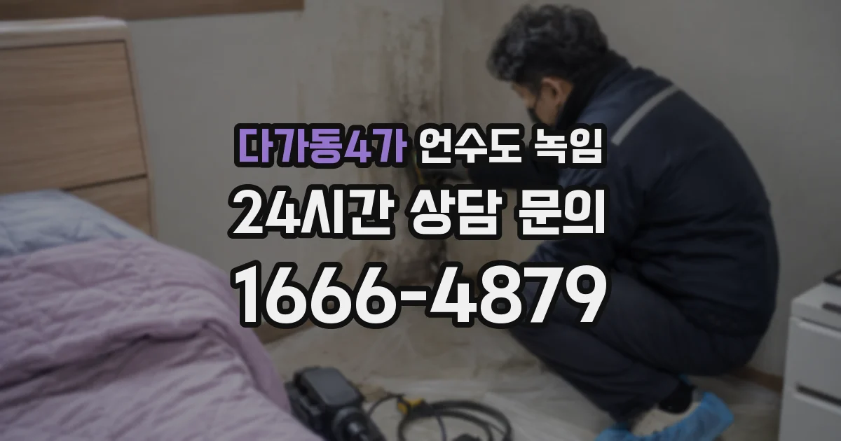 다가동4가 언수도 녹임