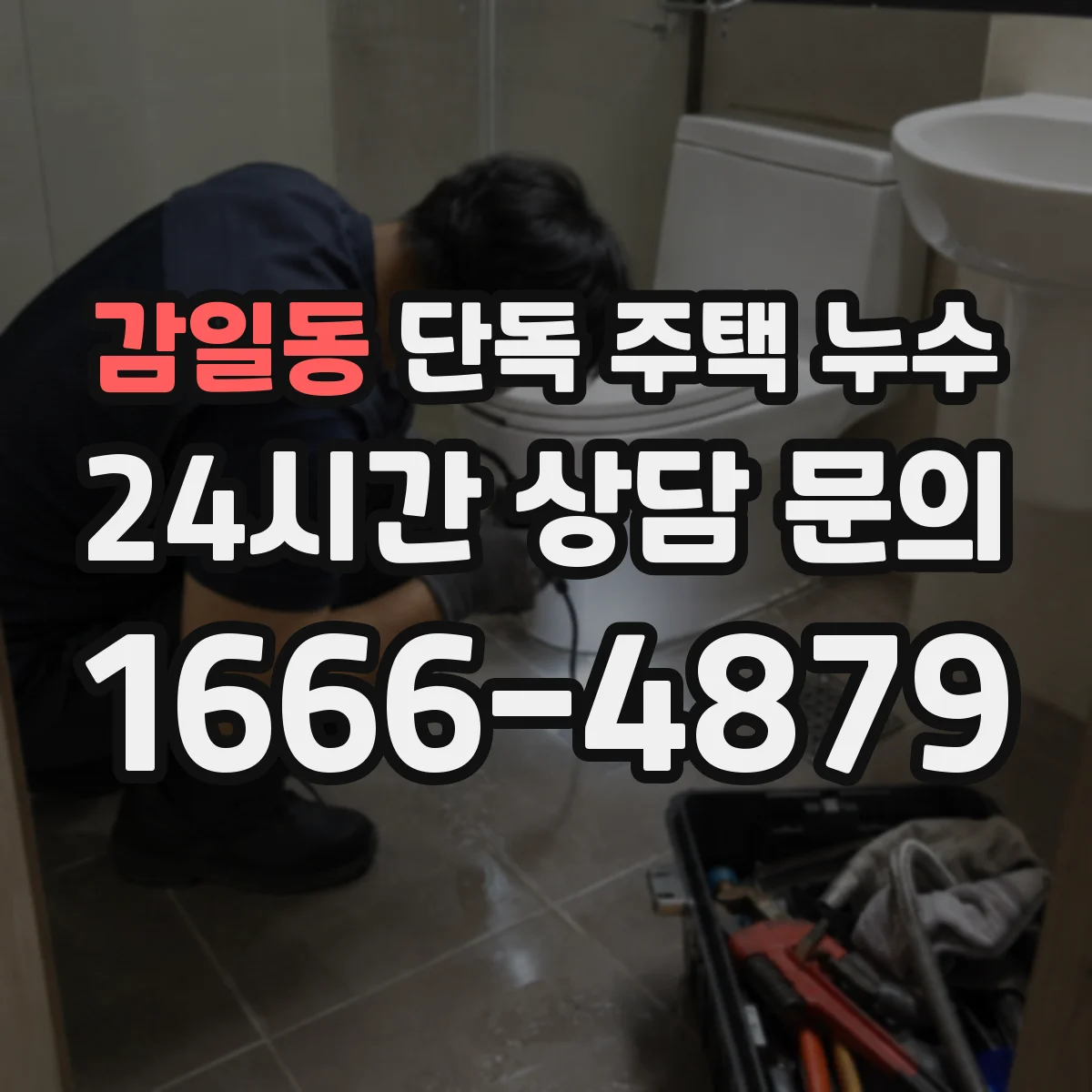 감일동 단독 주택 누수