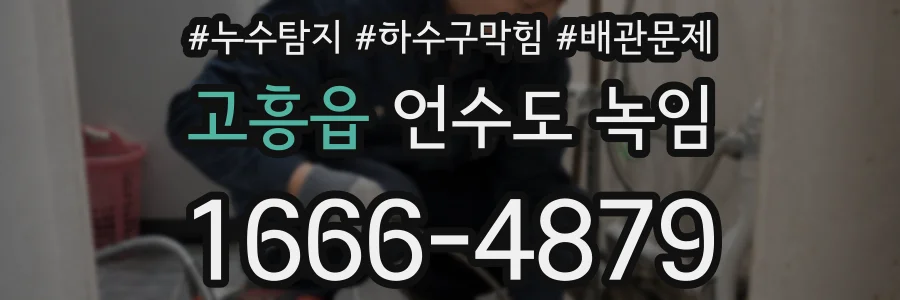 고흥읍 언수도 녹임