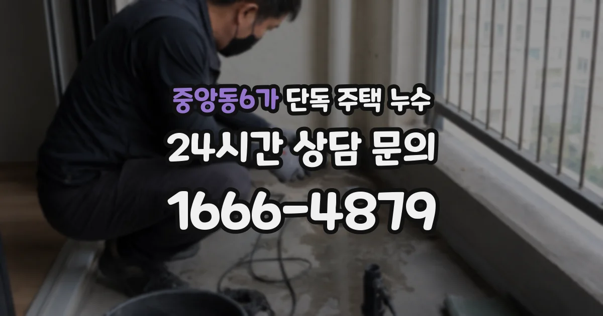 중앙동6가 단독 주택 누수