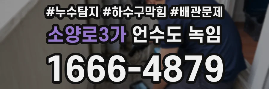 소양로3가 언수도 녹임