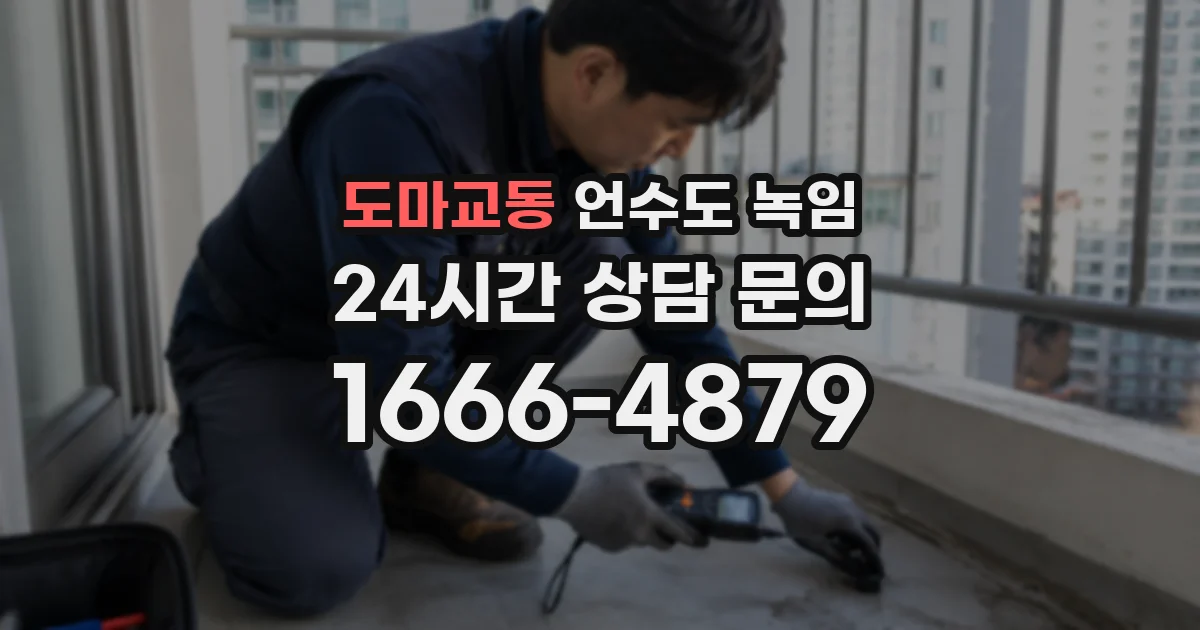 도마교동 언수도 녹임