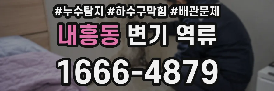 내흥동 변기 역류