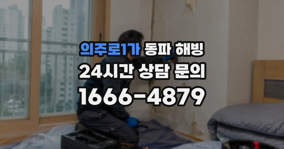 의주로1가 동파 해빙