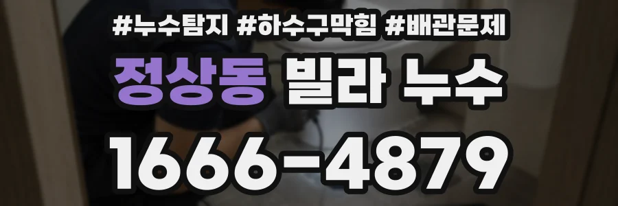정상동 빌라 누수