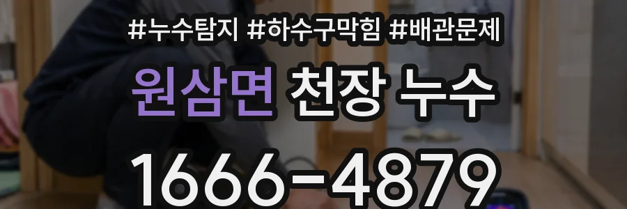 원삼면 천장 누수