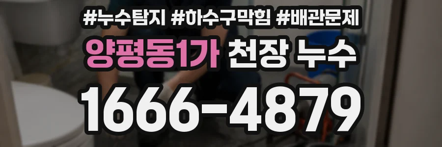 양평동1가 천장 누수