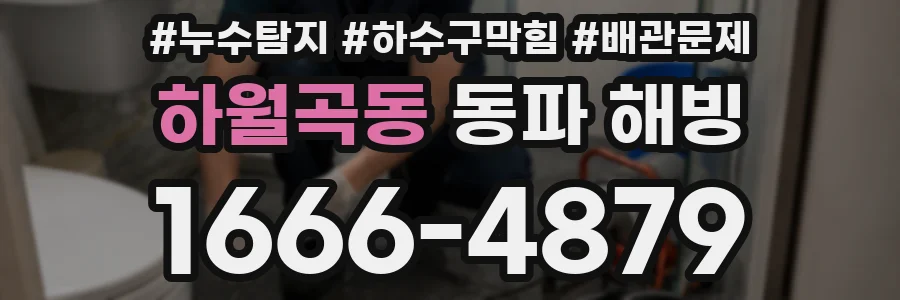 하월곡동 동파 해빙