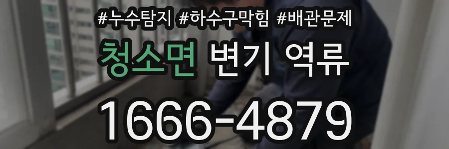 청소면 변기 역류