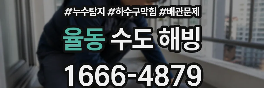 율동 수도 해빙