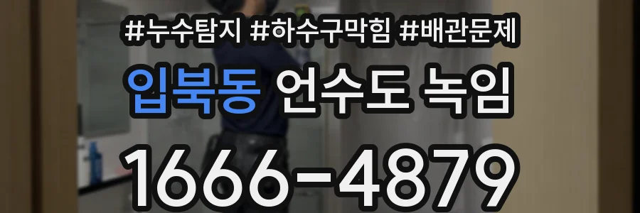 입북동 언수도 녹임