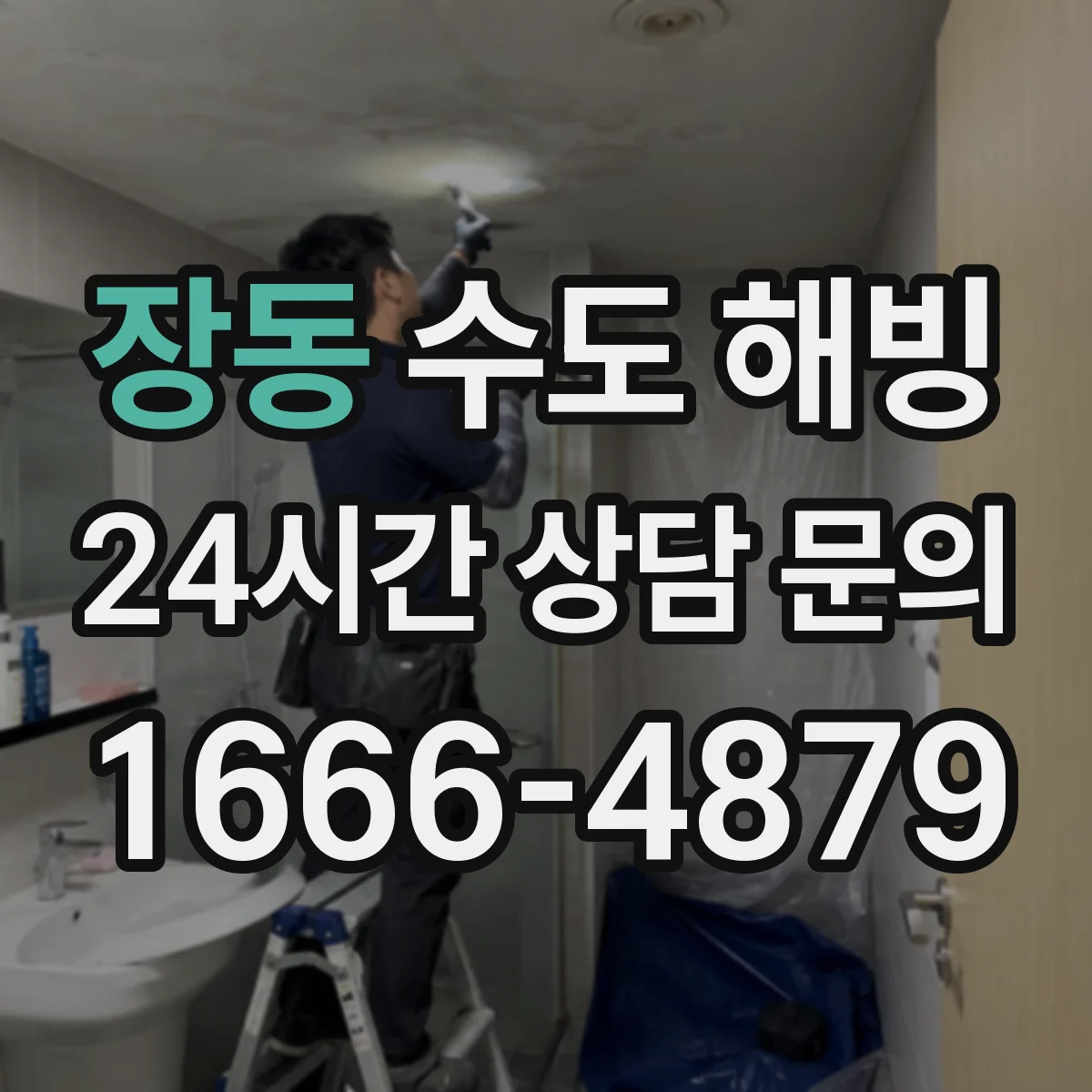 장동 수도 해빙