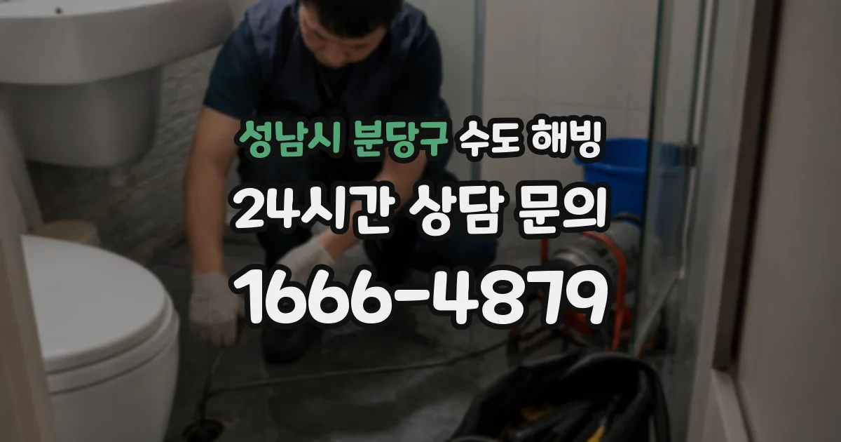 성남시 분당구 수도 해빙