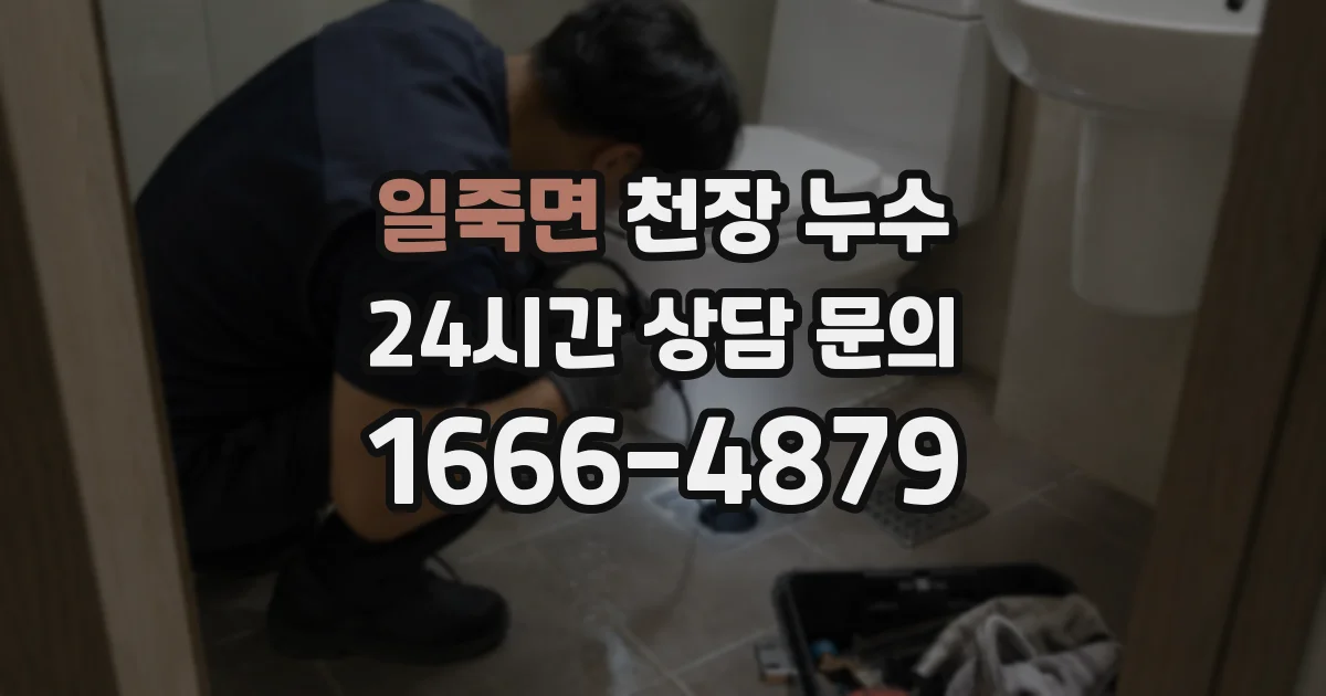 일죽면 천장 누수