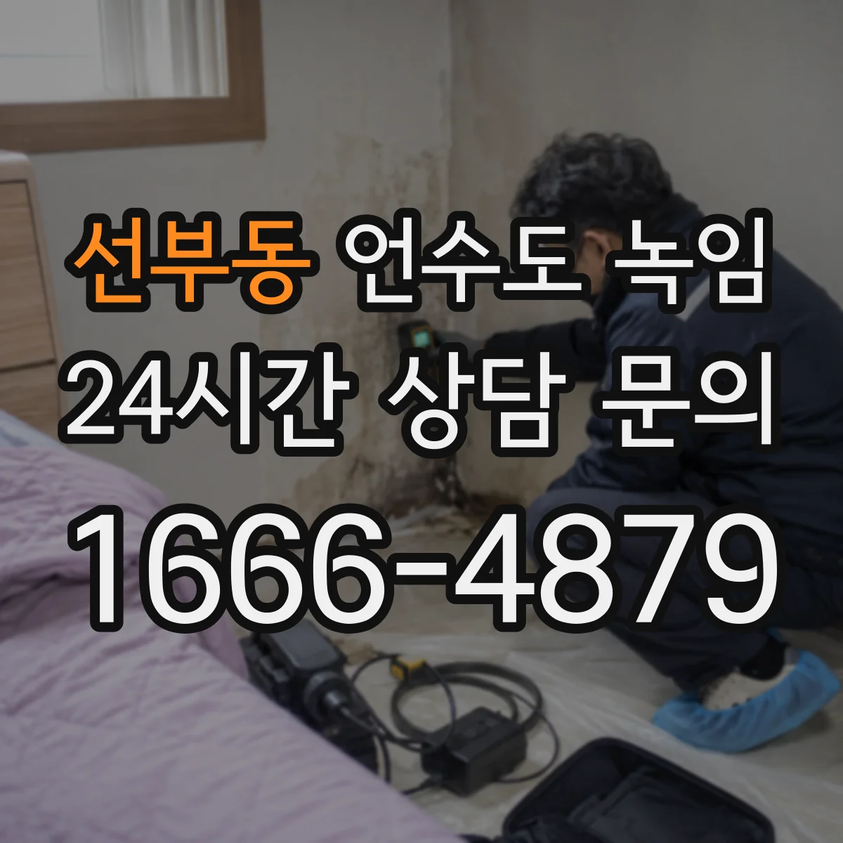 선부동 언수도 녹임