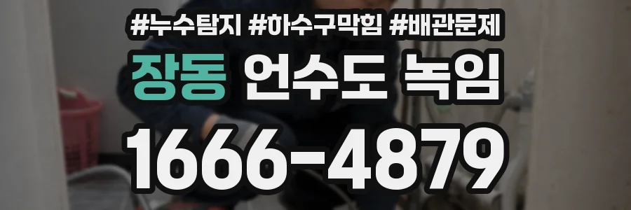 장동 언수도 녹임