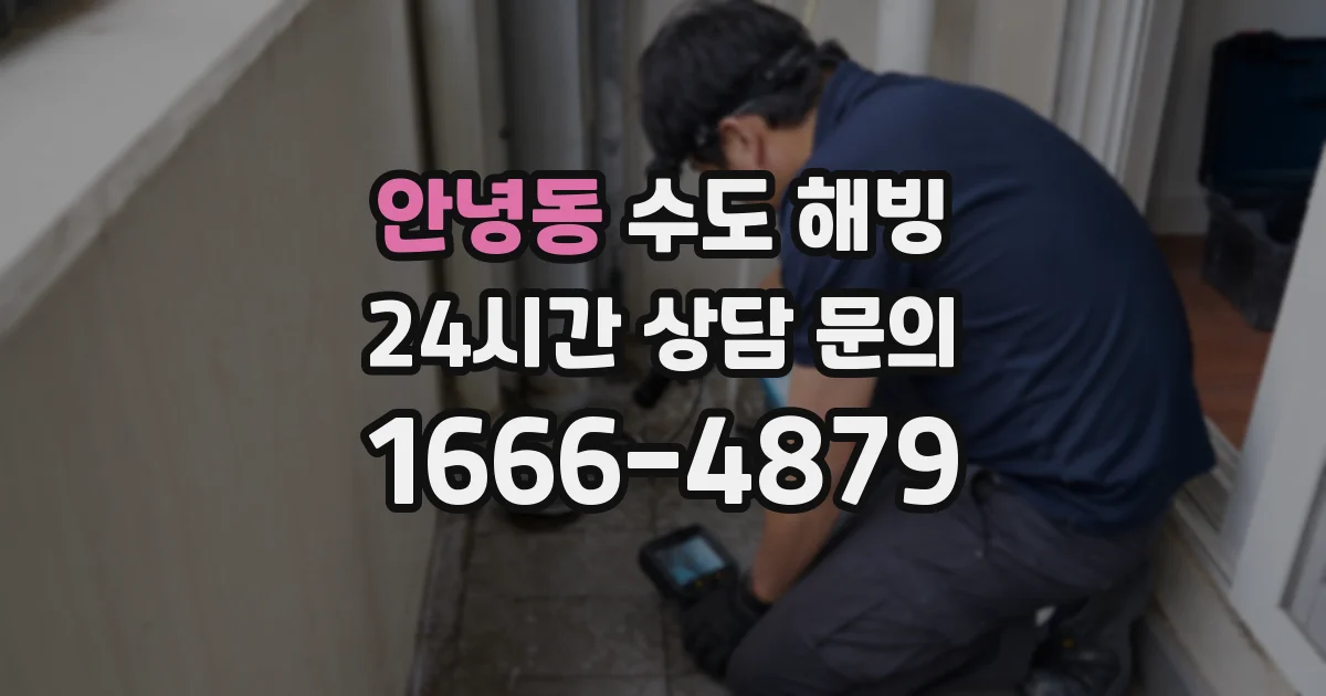 안녕동 수도 해빙