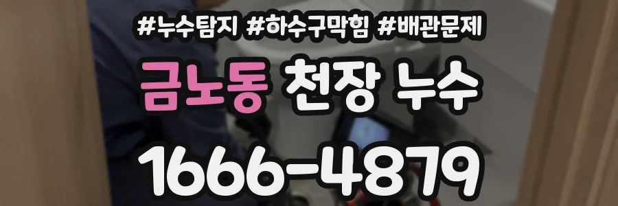 금노동 천장 누수