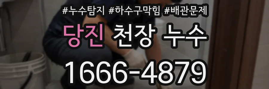 당진 천장 누수