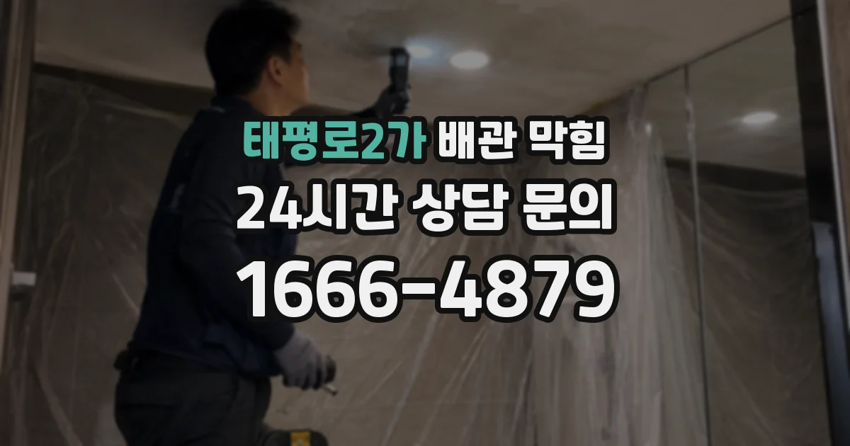 태평로2가 배관 막힘