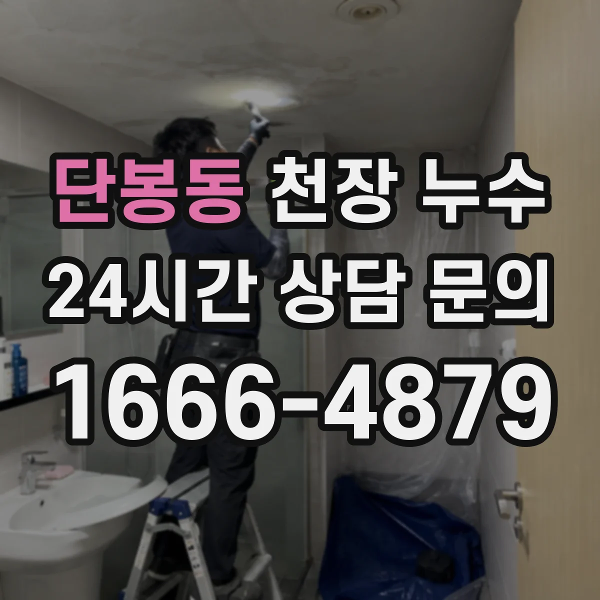 단봉동 천장 누수