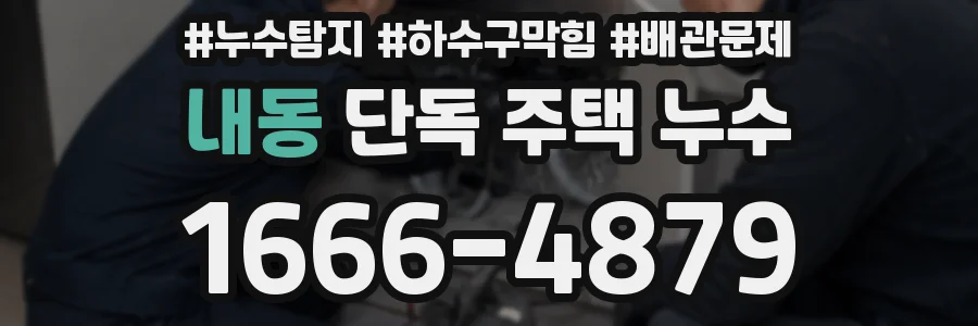 내동 단독 주택 누수