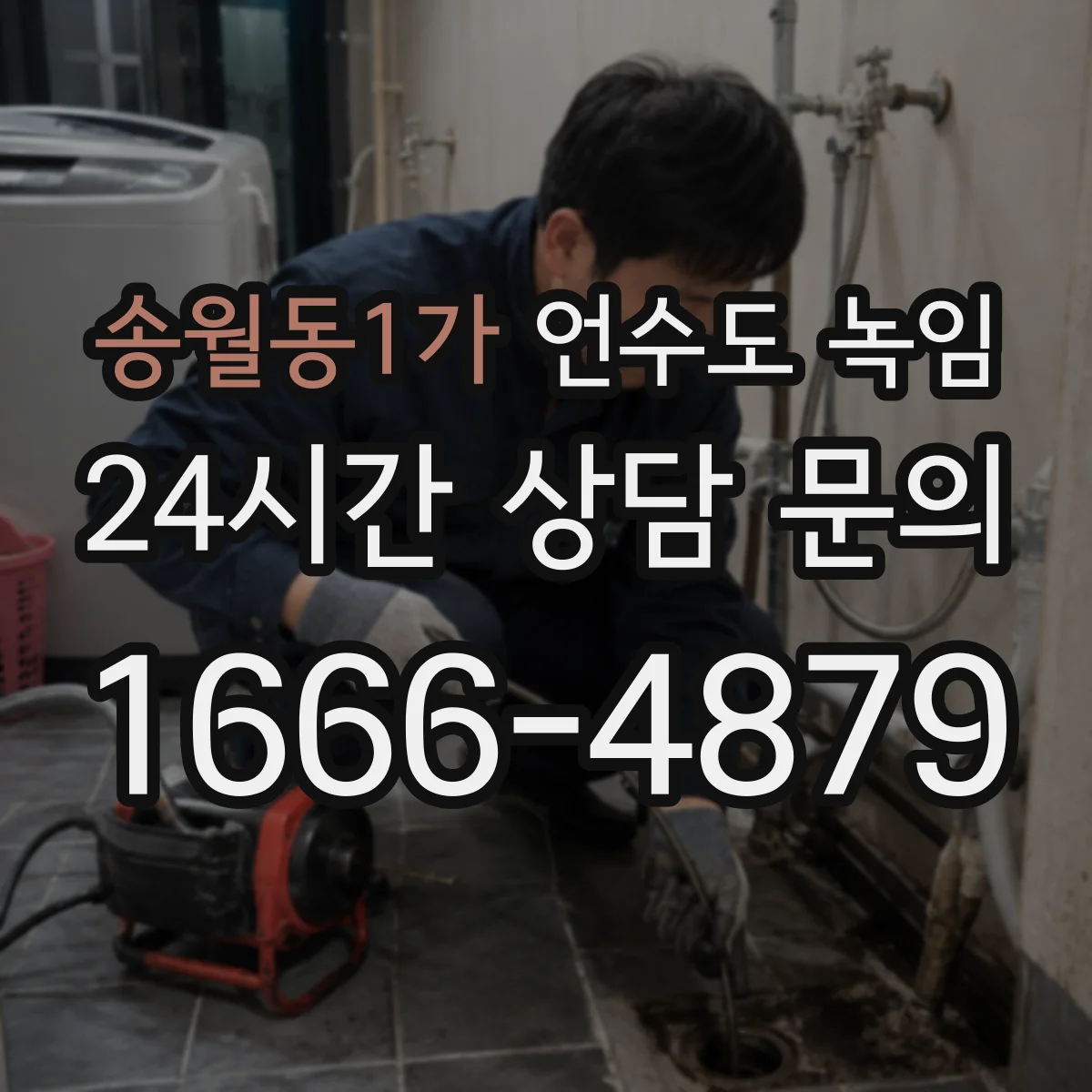 송월동1가 언수도 녹임