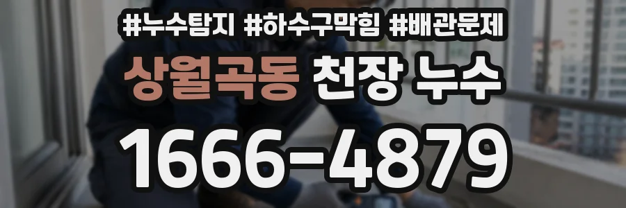 상월곡동 천장 누수