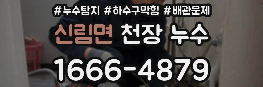 신림면 천장 누수