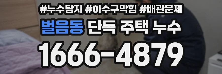 벌음동 단독 주택 누수