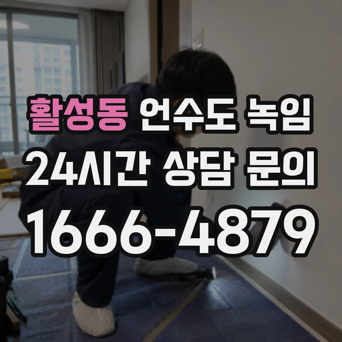 활성동 언수도 녹임