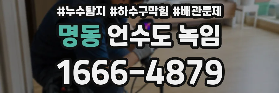 명동 언수도 녹임