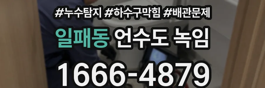 일패동 언수도 녹임