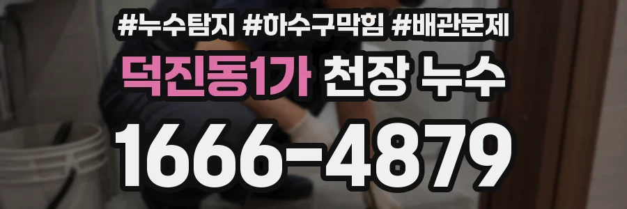 덕진동1가 천장 누수