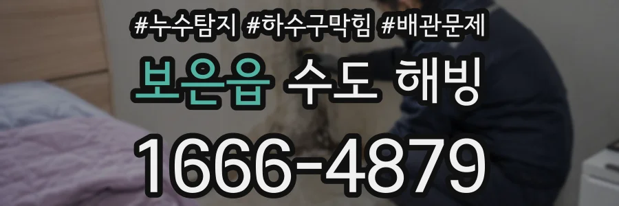 보은읍 수도 해빙