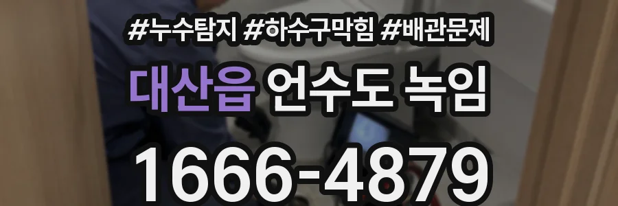 대산읍 언수도 녹임