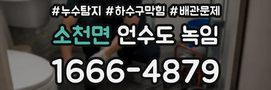 소천면 언수도 녹임