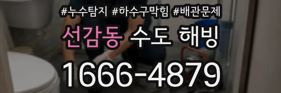선감동 수도 해빙