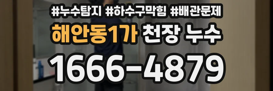 해안동1가 천장 누수