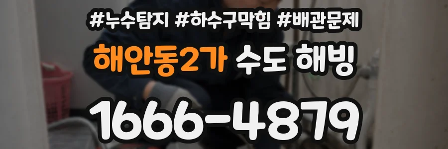 해안동2가 수도 해빙
