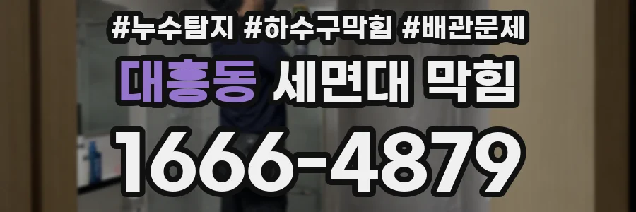 대흥동 세면대 막힘