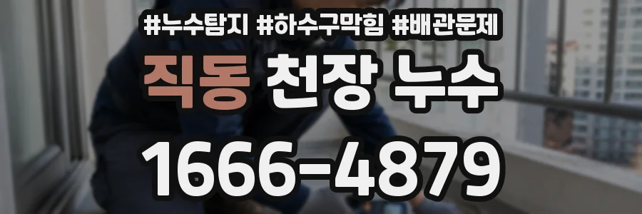 직동 천장 누수