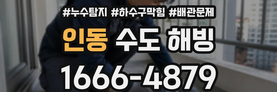 인동 수도 해빙