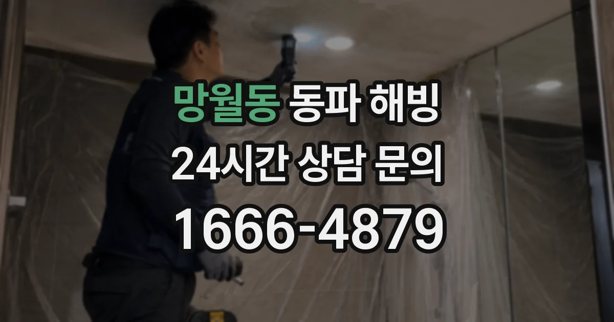 망월동 동파 해빙