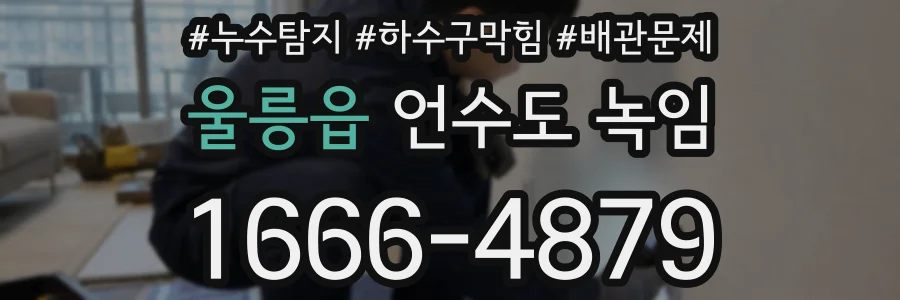 울릉읍 언수도 녹임