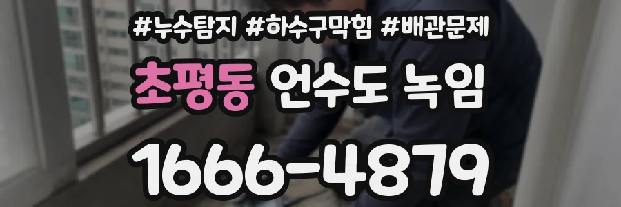 초평동 언수도 녹임
